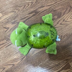 Cloudb frog